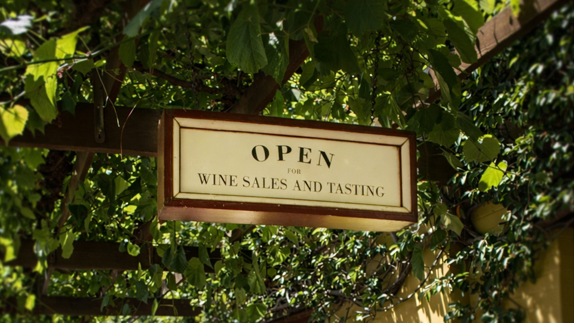 Private Barossa Valley Wine Tour Adelaide