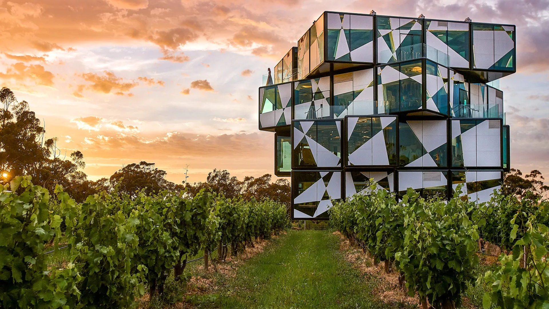 Private McLaren Vale Wine Tour Adelaide