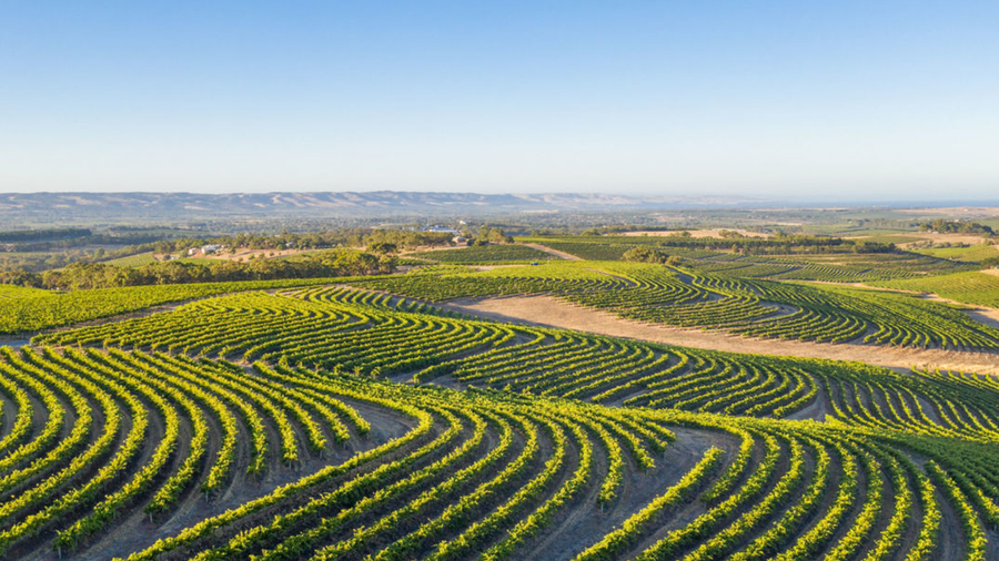 Adelaide Hills